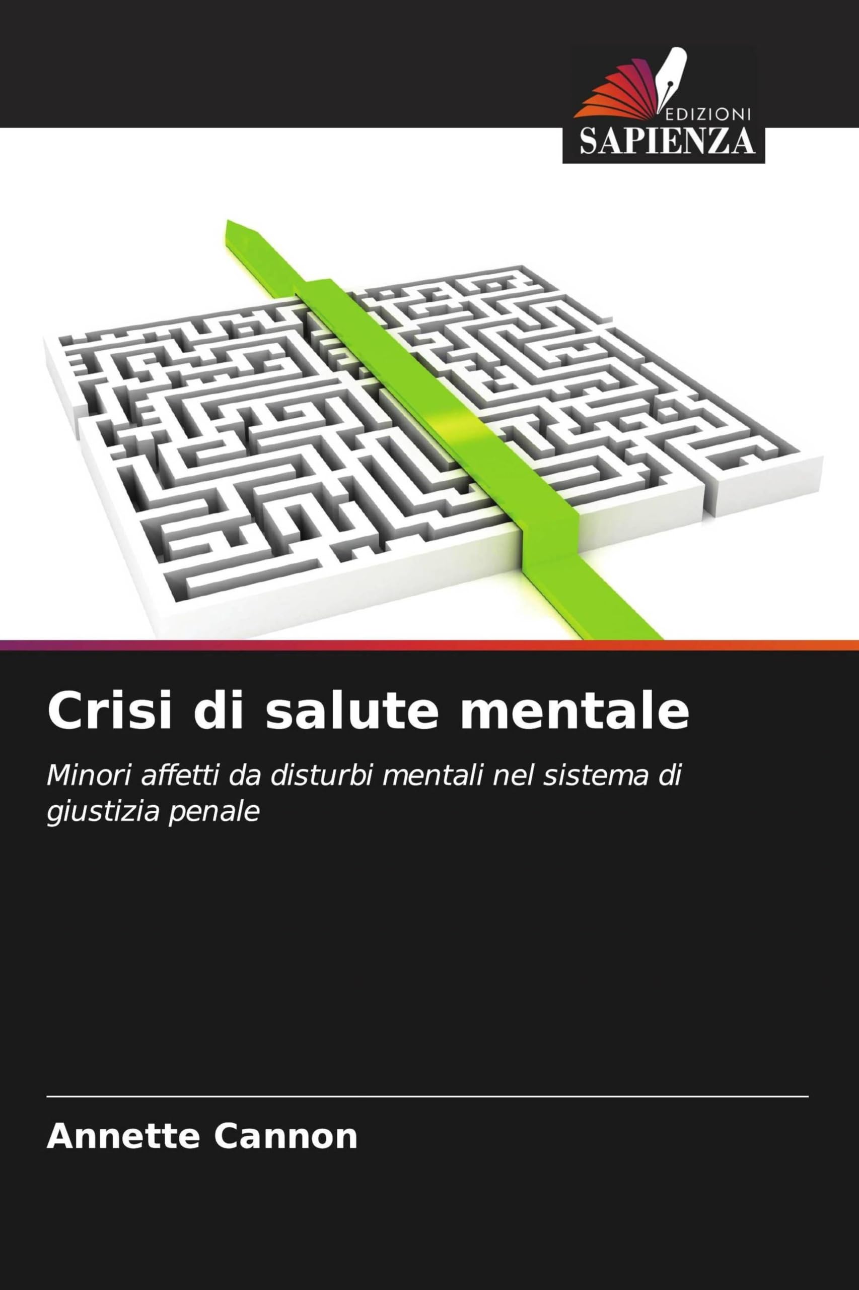 Crisi di salute mentale: Minori affetti da disturbi mentali nel sistema di giustizia penale