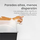 Ver la foto 4