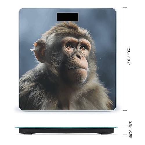 Miniatura 2 de Monkey Digital Bathroom Scale for Body Weight Weighing Scale with Backlit LCD Display High Precision Measurements & Measures Weight Up to 180kg