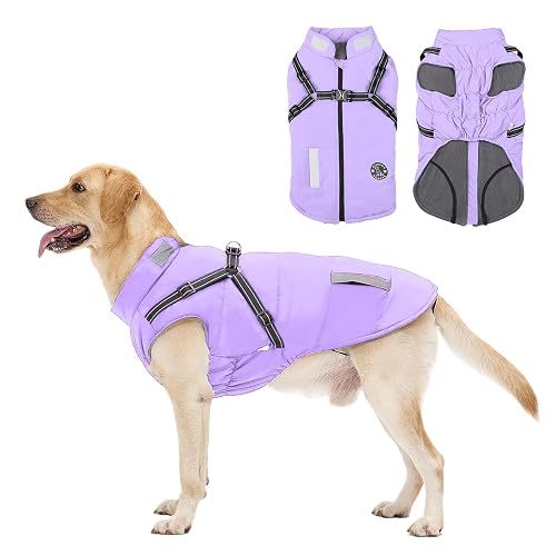 Abrigo Invierno Perro, Abrigo Impermeable para Perros Resistente al Viento