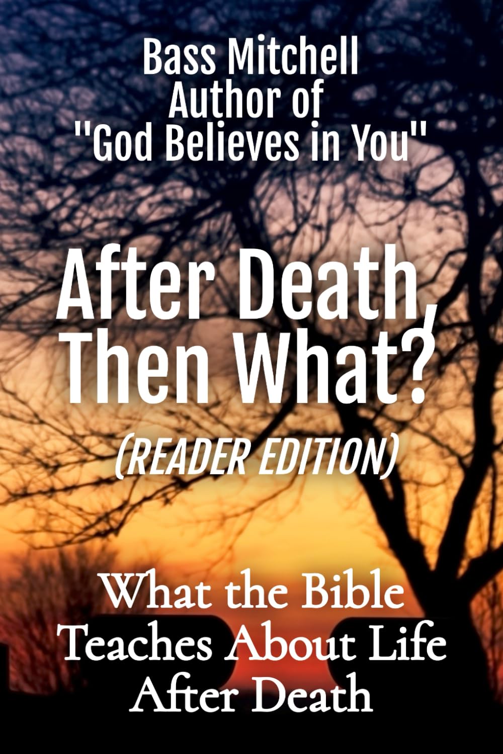 After Death, Then What?: Reader Edition