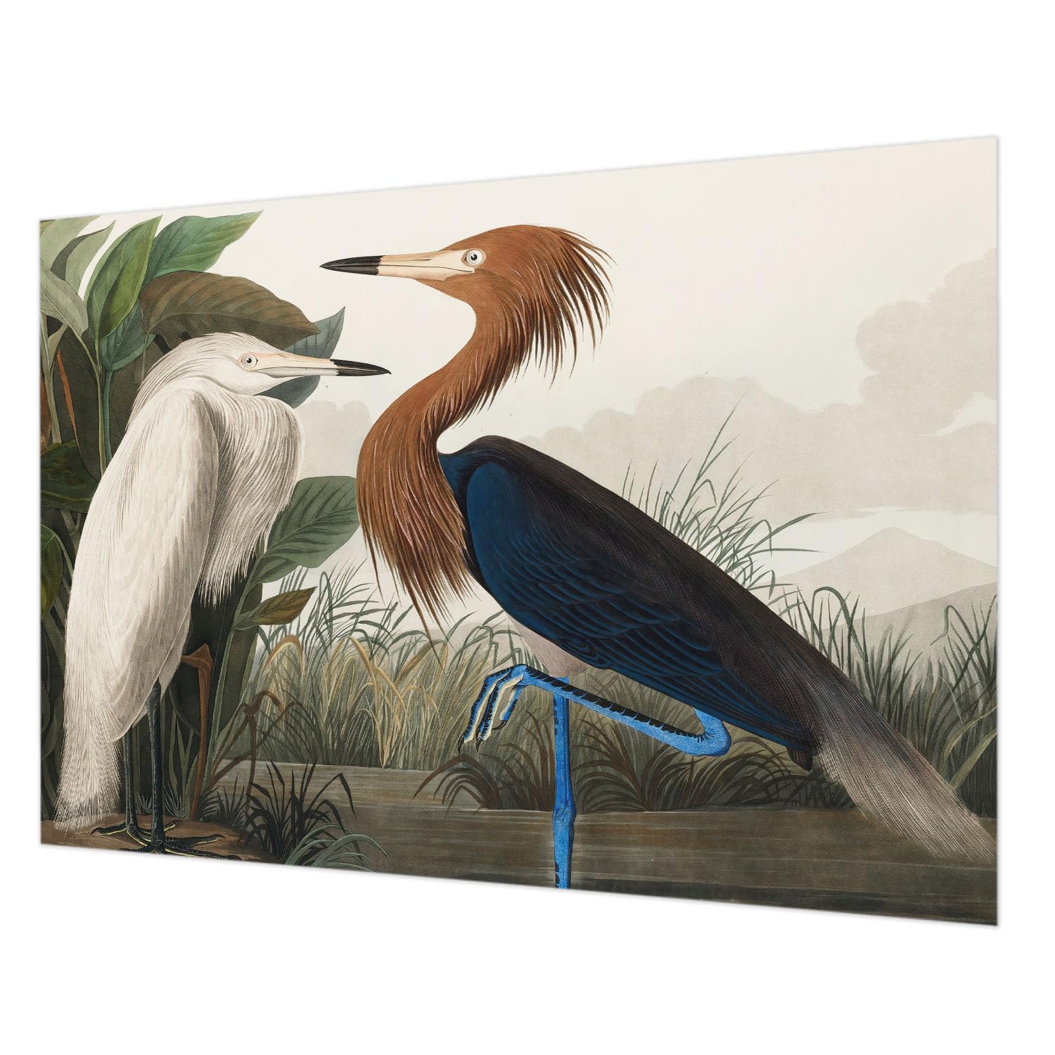 Papier Peint Intissé avec Impression de Haute Qualité Tulup 312x219 cm