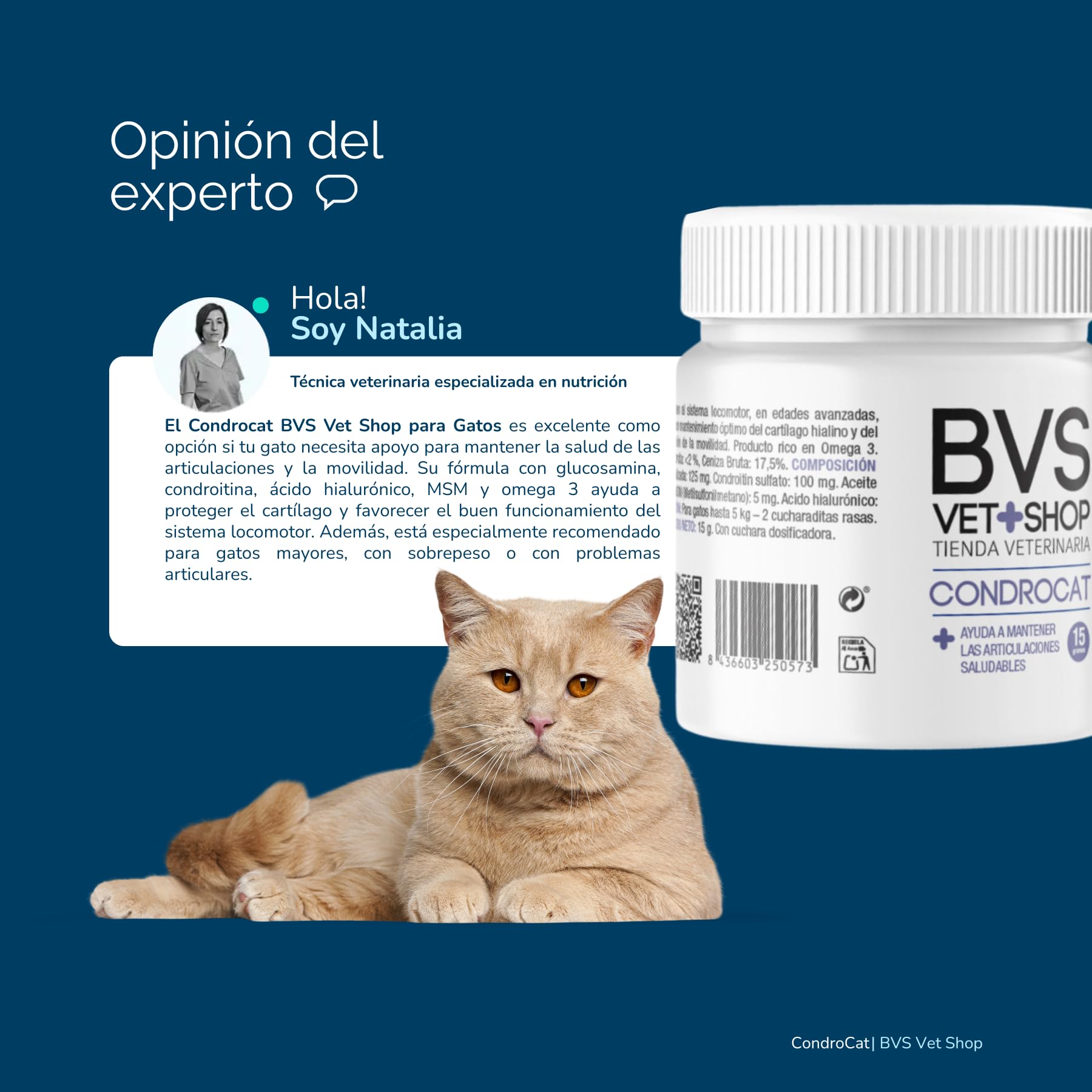 BVS Vet Shop | Condrocat para Gatos | Ayuda a Mantener Las articulaciones saludables de Gatos Que sufren en Las articulaciones, Edades avanzadas o sobrepeso | 1 unid. x 15 gr