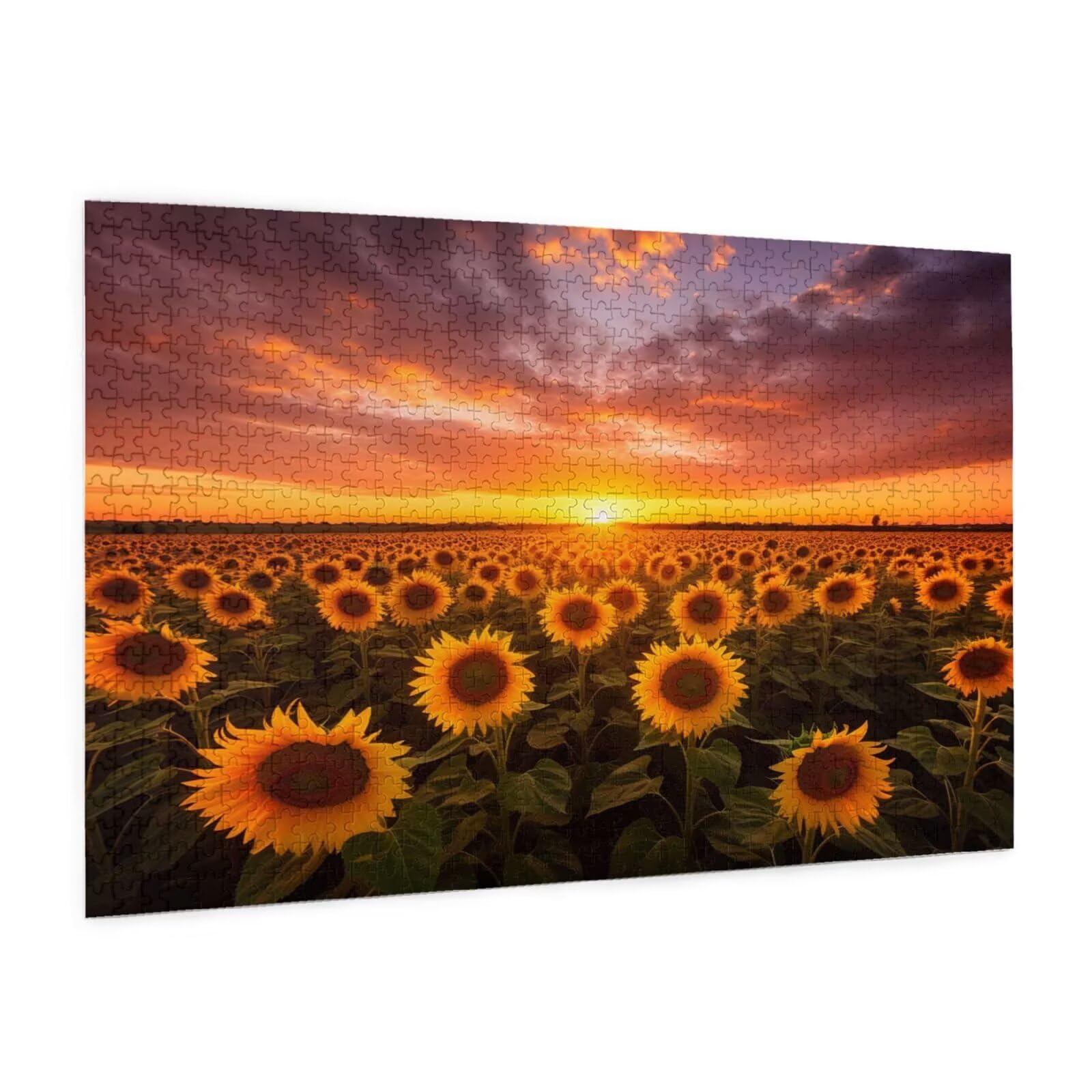 Puzzle 2000 Teile, Puzzle Erwachsene, Holzpuzzle Blumenmeer Impossible Jigsaw, Clevere Rätsel, Farbe Jigsaw mit Geschenkbox Verpackung for Room Decor, Geschenke für Frauen Sonnenblume 100x70cm p-1675