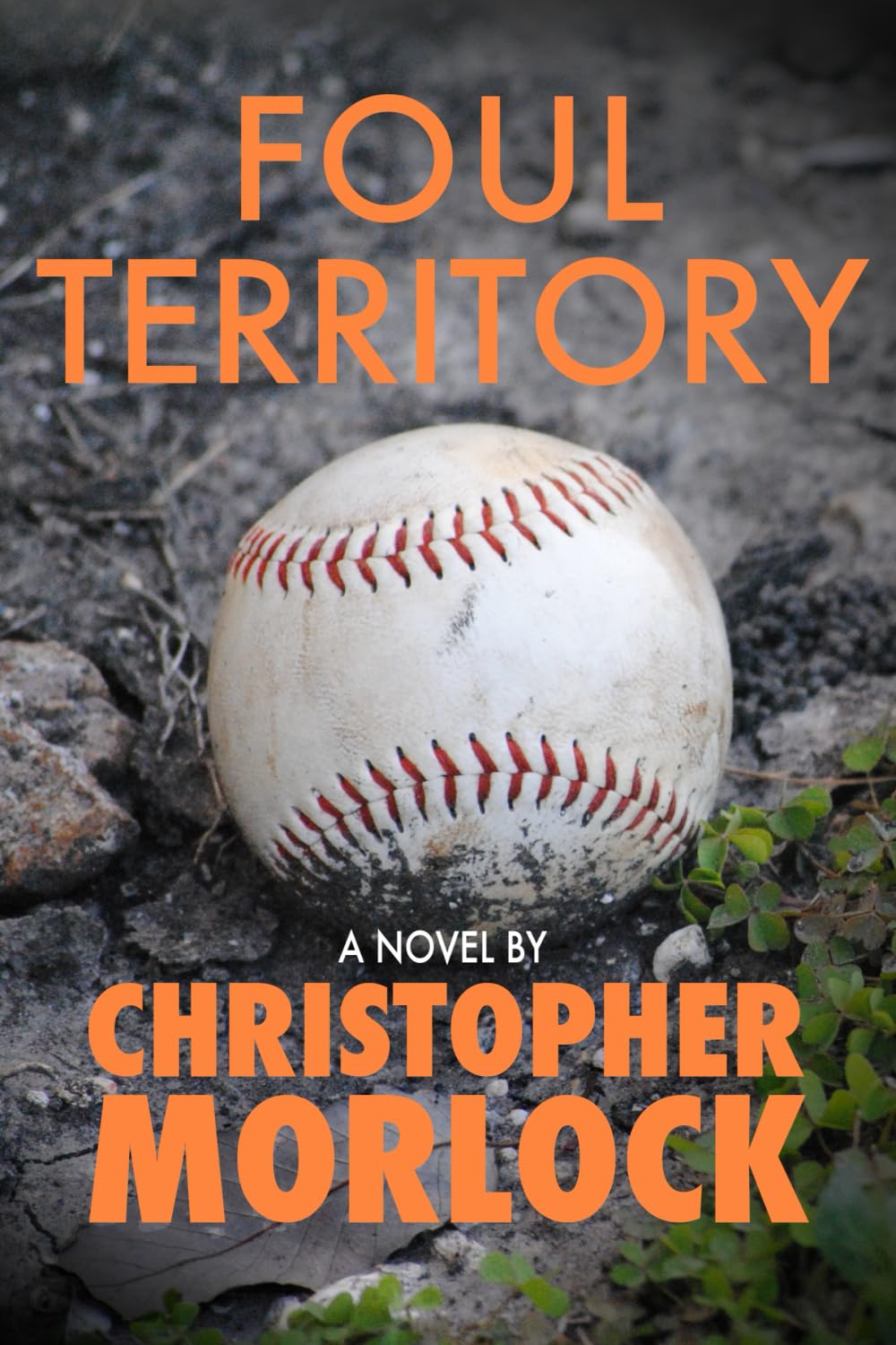 Foul Territory: 2 (The Chronicle of Calvin Connor)