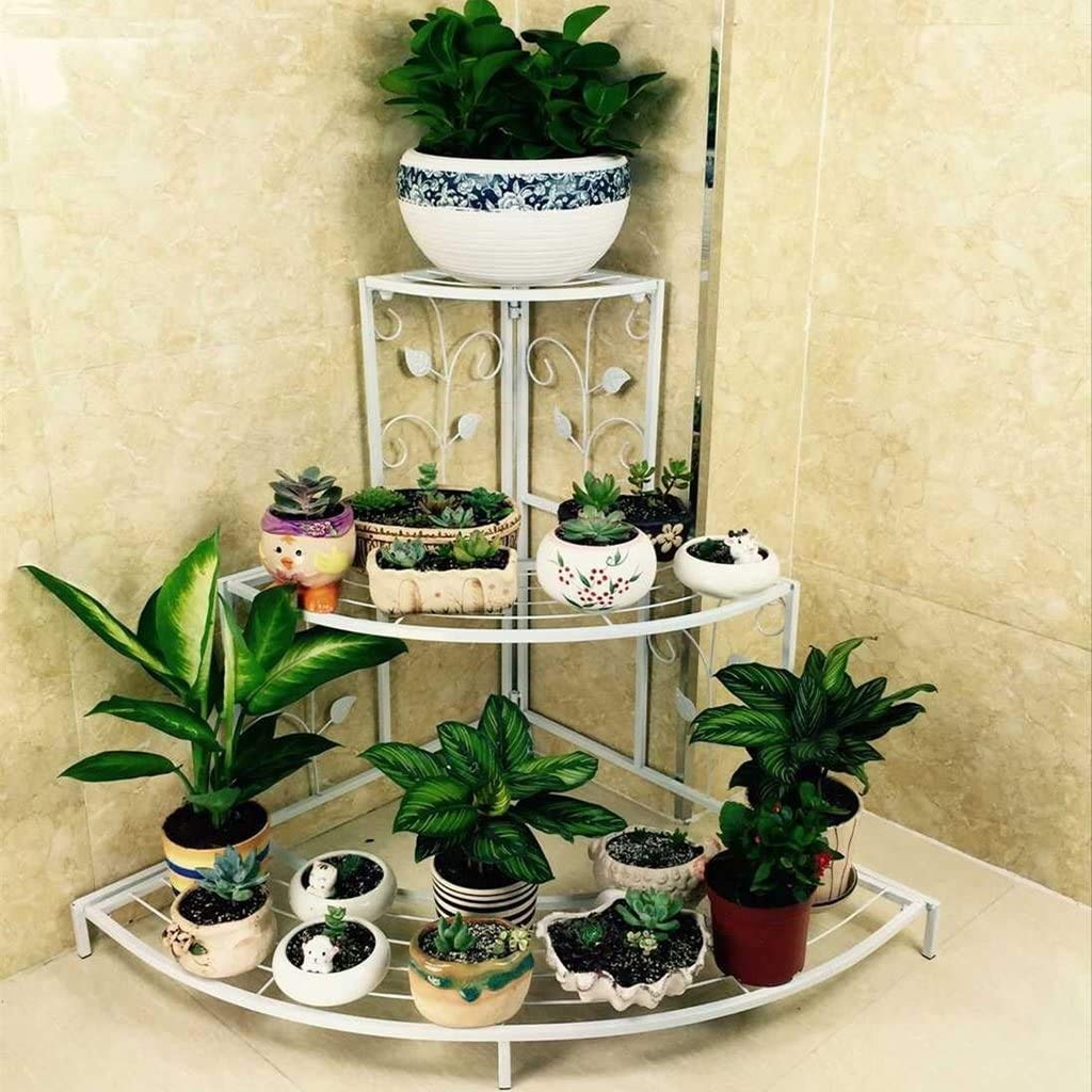 See full amazon price history chart for Kundi 3 Tier Plant Stand Floral Corner Shelf Metal Flower Pot Rack Stair-Step Style Display Ladder for Garden Balcony Indoor Outdoor (White) 81cm x 57cm x 70cm (L x W x H) (White) Kundi 3 Tier Plant Stand Floral Corner Shelf Metal Flower Pot Rack Stair-Step Style Display Ladder for Garden Balcony Indoor Outdoor (White) 81cm x 57cm x 70cm (L x W x H) (White) (B08PPSHQX5) Amazon Price History, Amazon Price Tracker