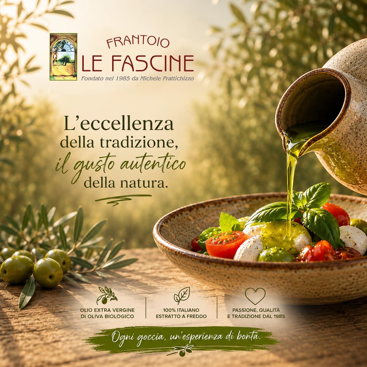 Le Fascine Olio Extravergine d'Oliva Provenzale Biologico 100% Italiano Prodotto da mono cultivar Provenzale (Latta da 3 Litri)