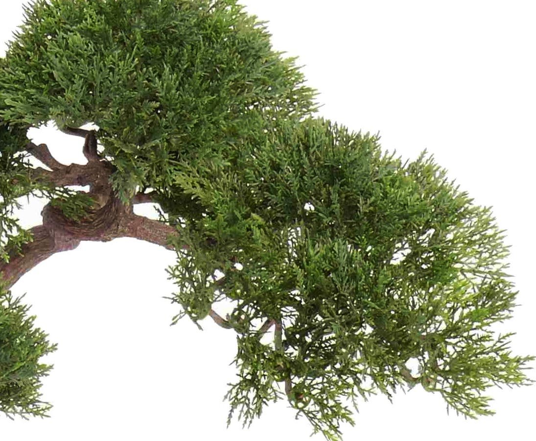 Amazon.de: Knstlicher Bonsai Ceder mit ca. 225 Bltter und bemooster  Schale 40cm hoch - Naturgetreuer Kunstbonsai Bonsaibaum