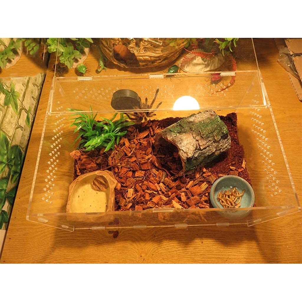 Resina de escondite de Reptiles, Caja de Cueva de Reptiles, decoración de hábitat, escondites de cáscara de Huevo de Dinosaurio simulado, Accesorios de Caja de Reptiles, Adornos
