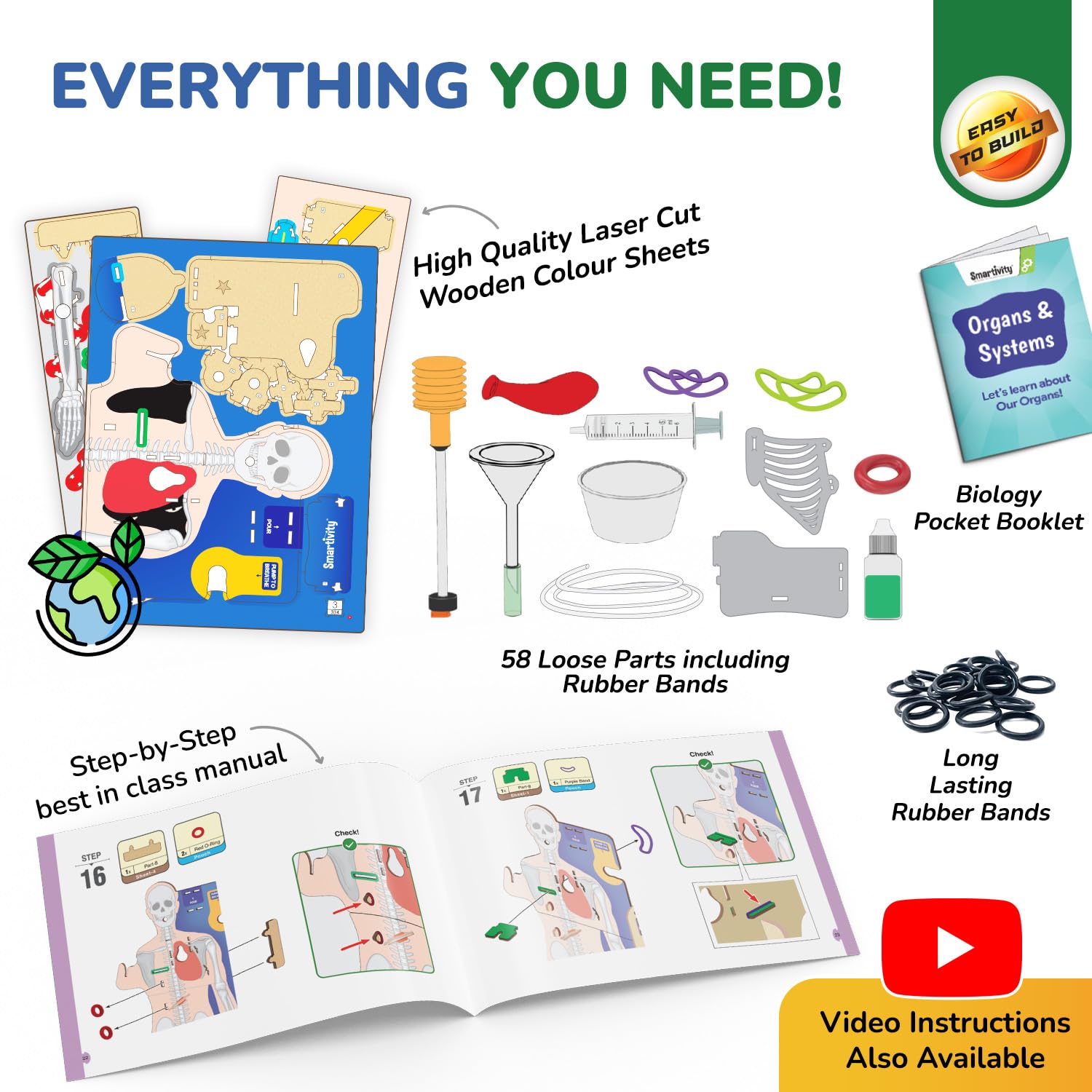 Smartivity Interactive Human Body Model for Kids 8-14 Years — Amazon image 6