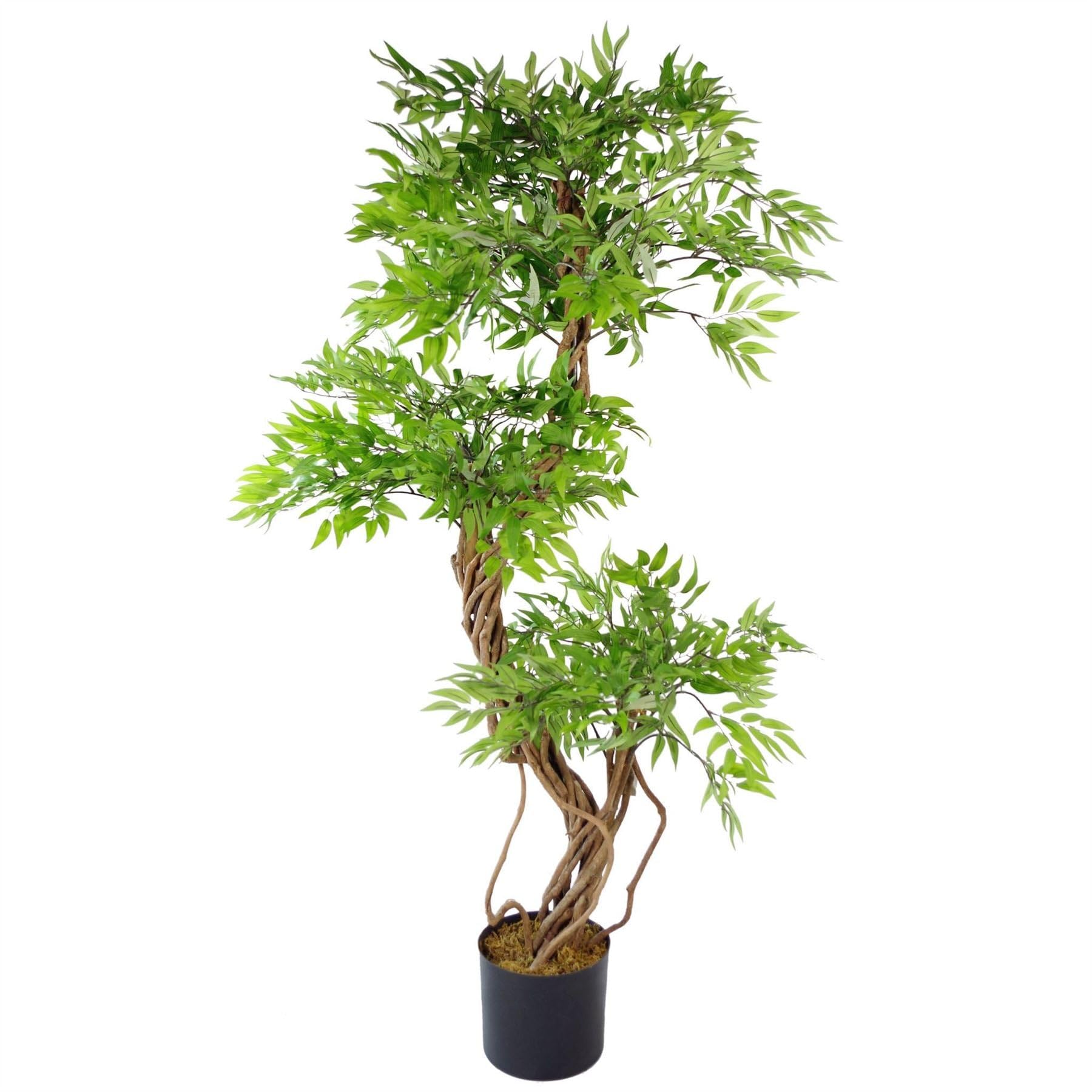 B&Q -  140Cm Realistic Artificial Japanese Fruticosa Tree Ficus Tree