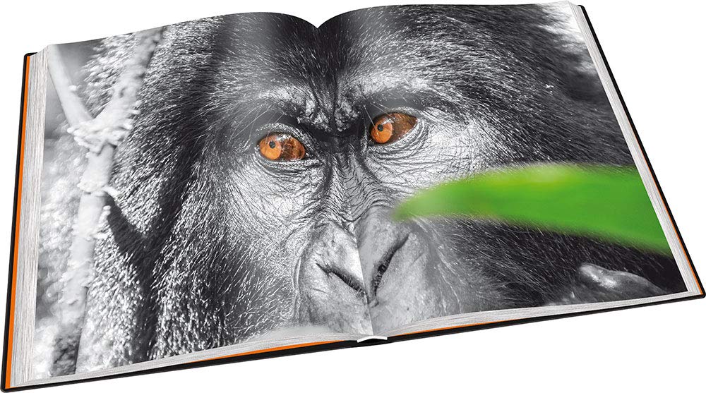 Perle Afrikas: Faszination Uganda