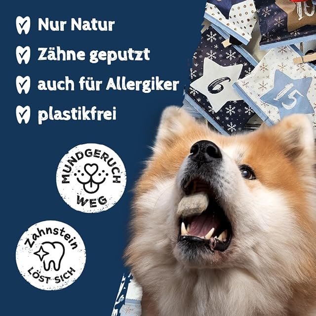 Foto 2 de 4 de QCHEFS Calendario de Adviento del Perros 2023 Delicioso crujiente y cepillado los dientes sin plástico…