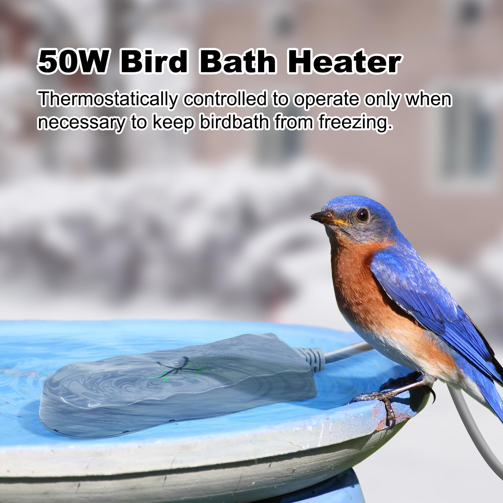 Neue Vogelbad Outdoor Balkon Garten Hängenn Vogelfutterspenr Und