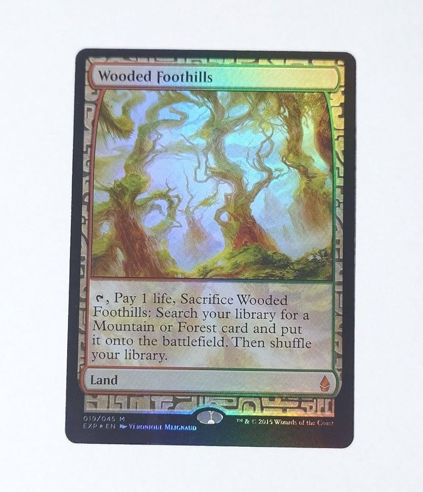 樹木茂る山麓　foil　エクスペディション MTG 樹木茂る山麓 foil Foil】《樹木茂る山麓/Wooded Foothills