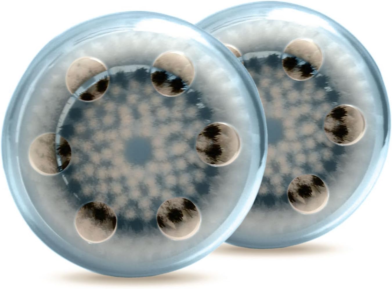Clarisonic Compatible Facial Brush Replacement Heads With Caps for Delicate Skin Fits Mia, Mia 2 & 3 and All Other Models, 2-Pack