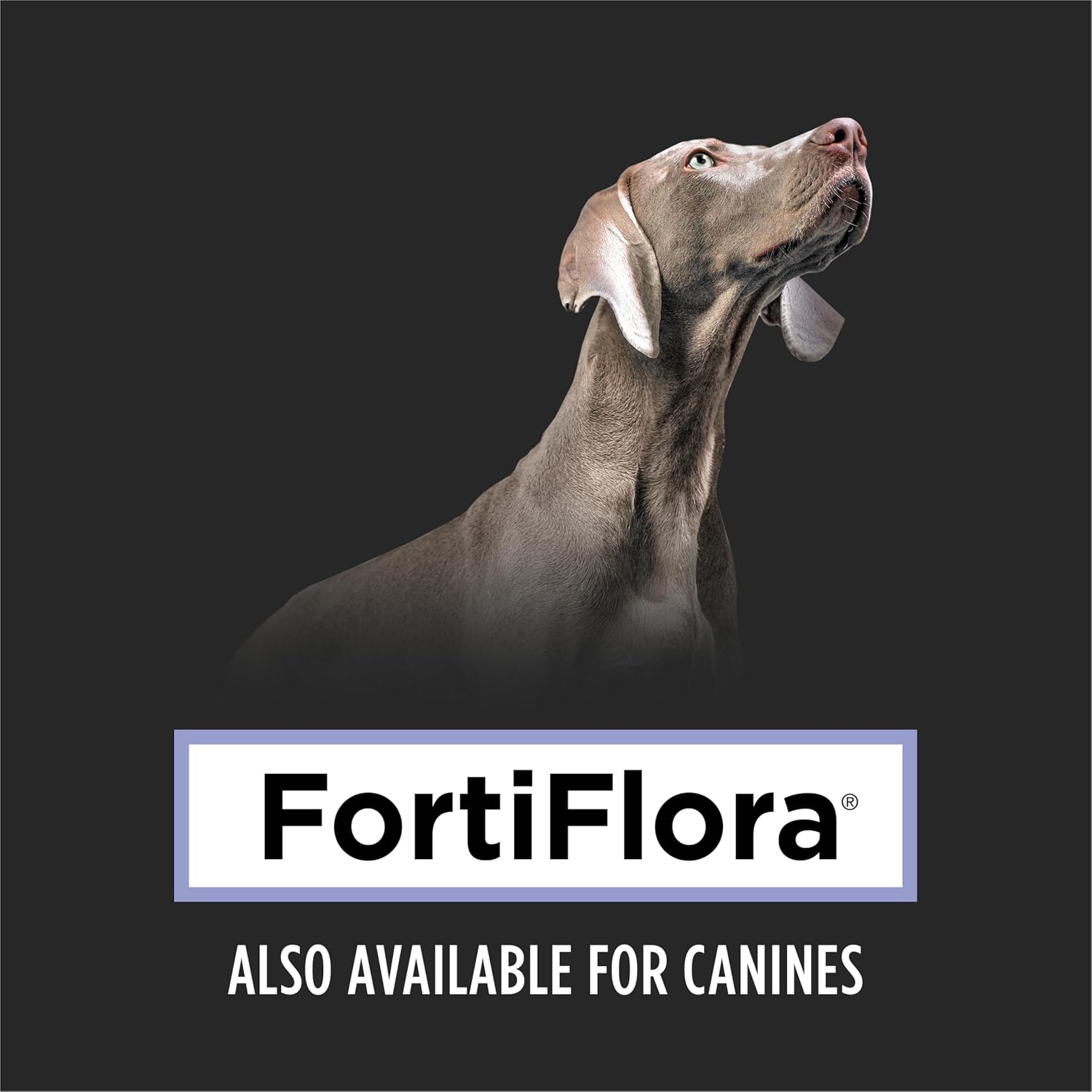 FortiFlora spec