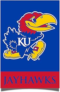 Desert Cactus University of Kansas Poster KU Jayhawks 11 x 17 Inch Room Office Décor Decoration Official Fan Gear (11x17 inch,Version 1A)