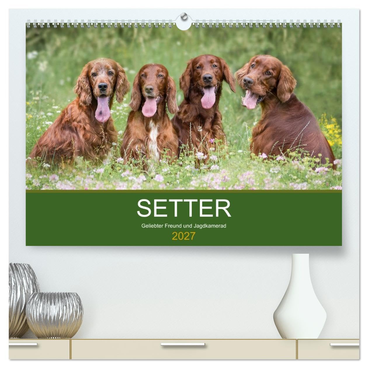CALVENDO - Setter - Geliebter Freund und Jagdkamerad (hochwertiger Premium Wandkalender 2027 DIN A2 quer), Kunstdruck in Hochglanz: Der Setter - treuer Freund der Familie und verlässlicher Partner auf
