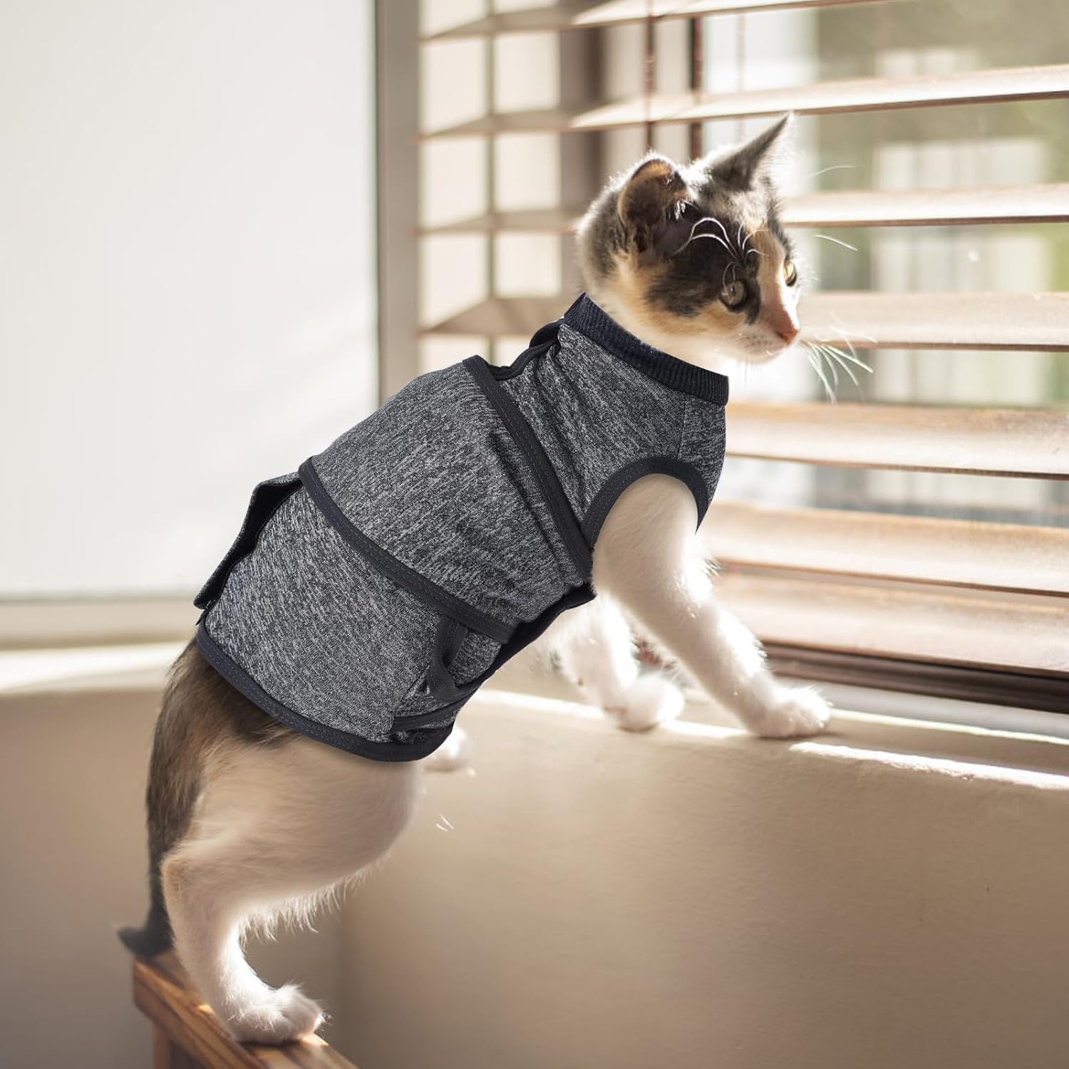 Pet Anxiety Jacket, Occupiedpet,Calming Vest with Adjustable Hook and Loop | Suitable for Cats and Dogs, Soft Polyester Cotton Blend Fabric for Stress Relief During Thunder Fireworks and Travel（L）