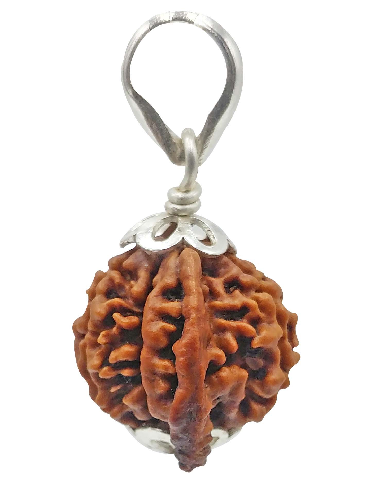 Saubhagya Global Ganeshji Rudraksha From Nepal, Laboratory Certified, Carefully Capped with Silver with Handmade Tassel, Size 16mm-22mm, Color-Brown