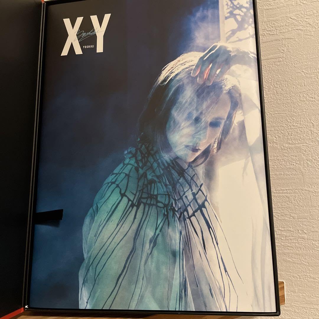 Amazon.co.jp: X Japan Yoshiki XY XY Luxury Photo Album 1st Edition