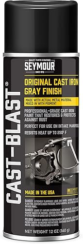 Seymour CA16-48 Pintura en aerosol Cast Blast, 12 onzas (paquete de 1)