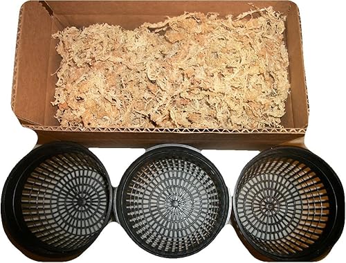 Tres macetas de red de 5 pulgadas con musgo Sphagnum de Nueva Zelanda
