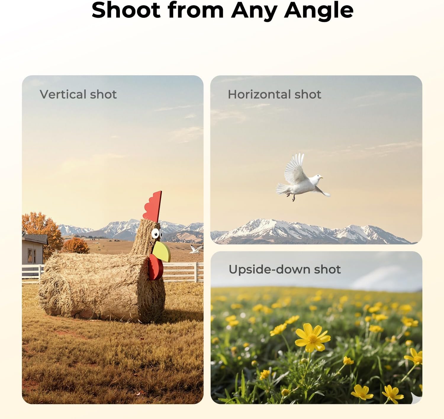 K&F CONCEPT 63" Aluminum Travel Camera Tripod with Arca-Compatible Ball Head, Compact Portable Lightweight Tripod Weighs 2.6 lb, Max Load 22 lb for DSLR Mirrorless Spotting Scope iPhone Teleprompter