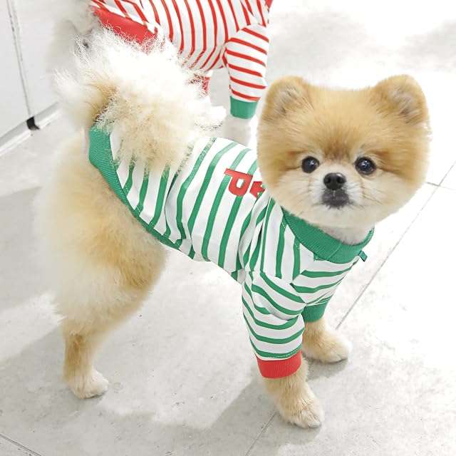 Foto 4 de 4 de Mate Camiseta Tops para Perro M Verde