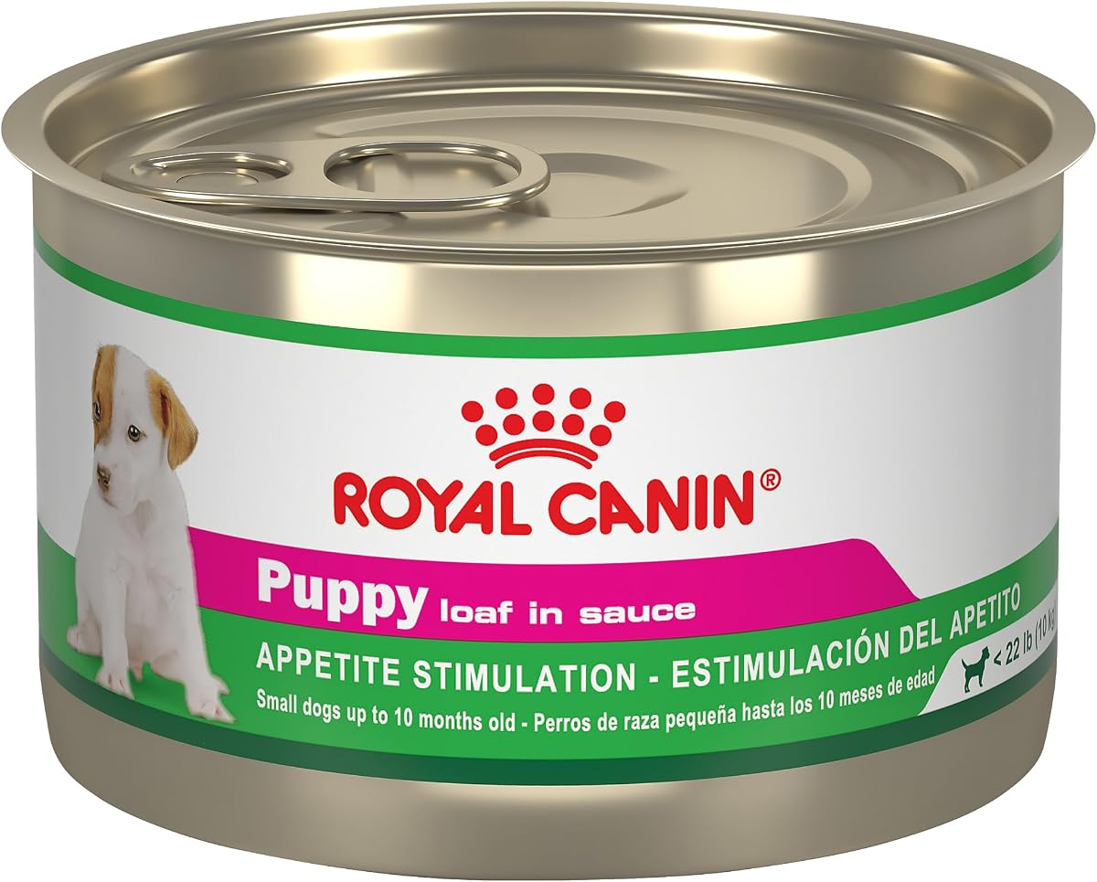 ROYAL CANIN Canine Health Nutrition Pan para cachorros en salsa, alimento para perros, 5.2 oz (paquete de 24)