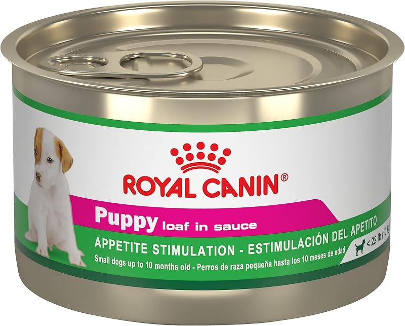 ROYAL CANIN Canine Health Nutrition Pan para cachorros en salsa, alimento para perros, 5.2 oz (paquete de 24)