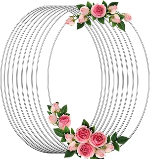 10Pcs Silver Macrame Dream Catcher Rings, Bettoor Metal Hoops DIY Floral Macrame Hoop for Wall Hanging Crafts Wreath Ring for Wedding Wreath Decor (8 Inches)