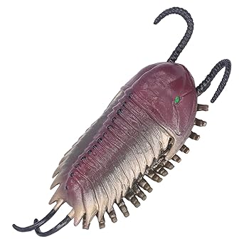 Amazon.co.jp: 三葉虫モデル、誕生日プレゼント古代動物