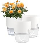 Self Watering Planters for Indoor Plants, 3 Pack 6 Inch African Violet Pots | Modern Decorative Flower Pots with Transparent Water Reservoir, Perfect for Indoor House Plants, Flowers (White)