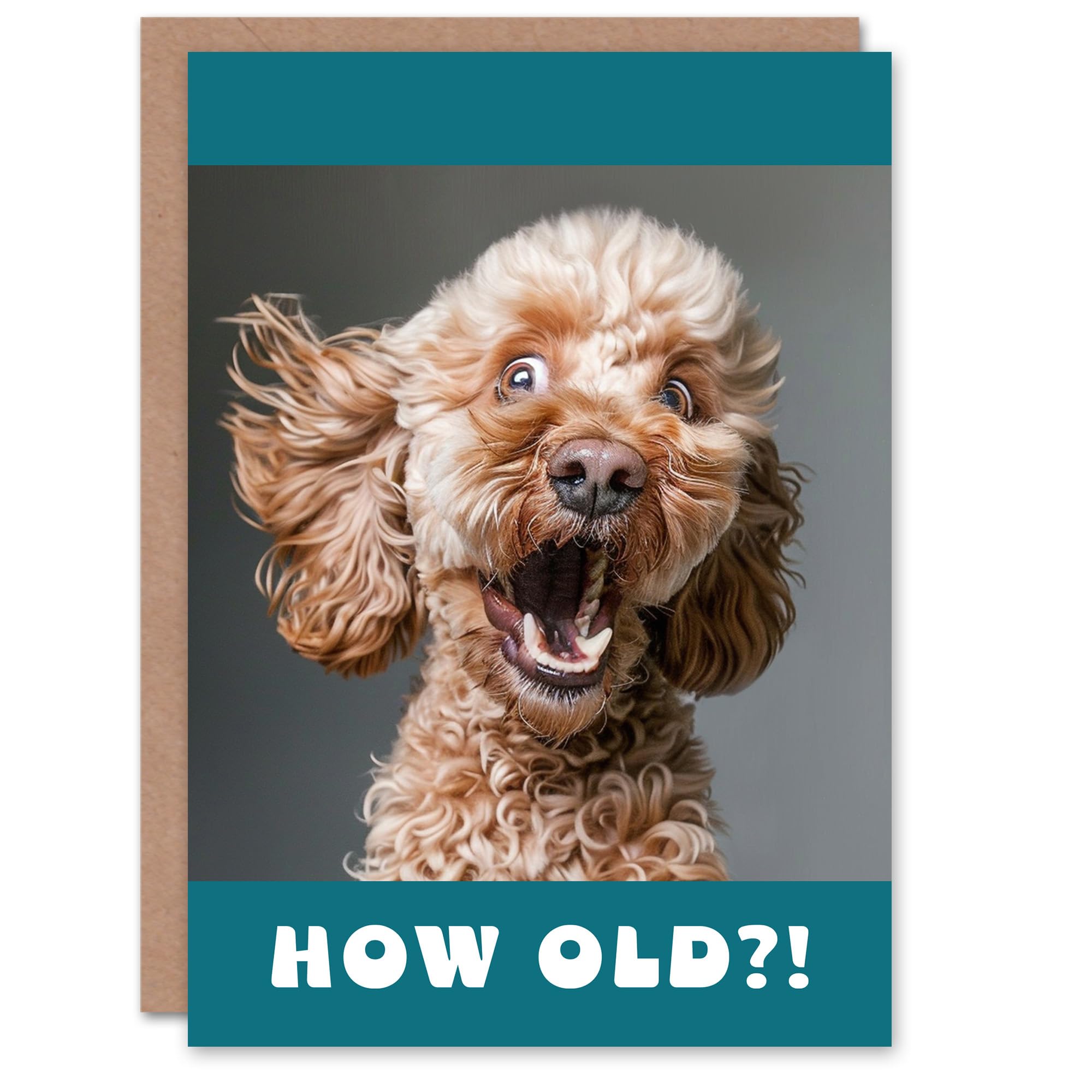Artery8 Birthday Card Surprised Cockapoo Dog Photo How Old Funny Joke Cheeky Animal For Him Her Man Woman Girl Boy Wife Husband Greeting Card