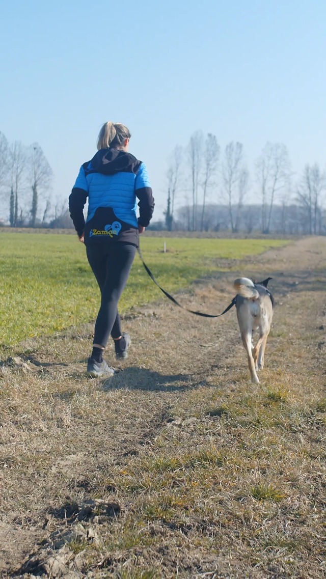 Ferplast Arnés Perros Mediano ERGOTREKKING MEDIUM, Arnés para Perros