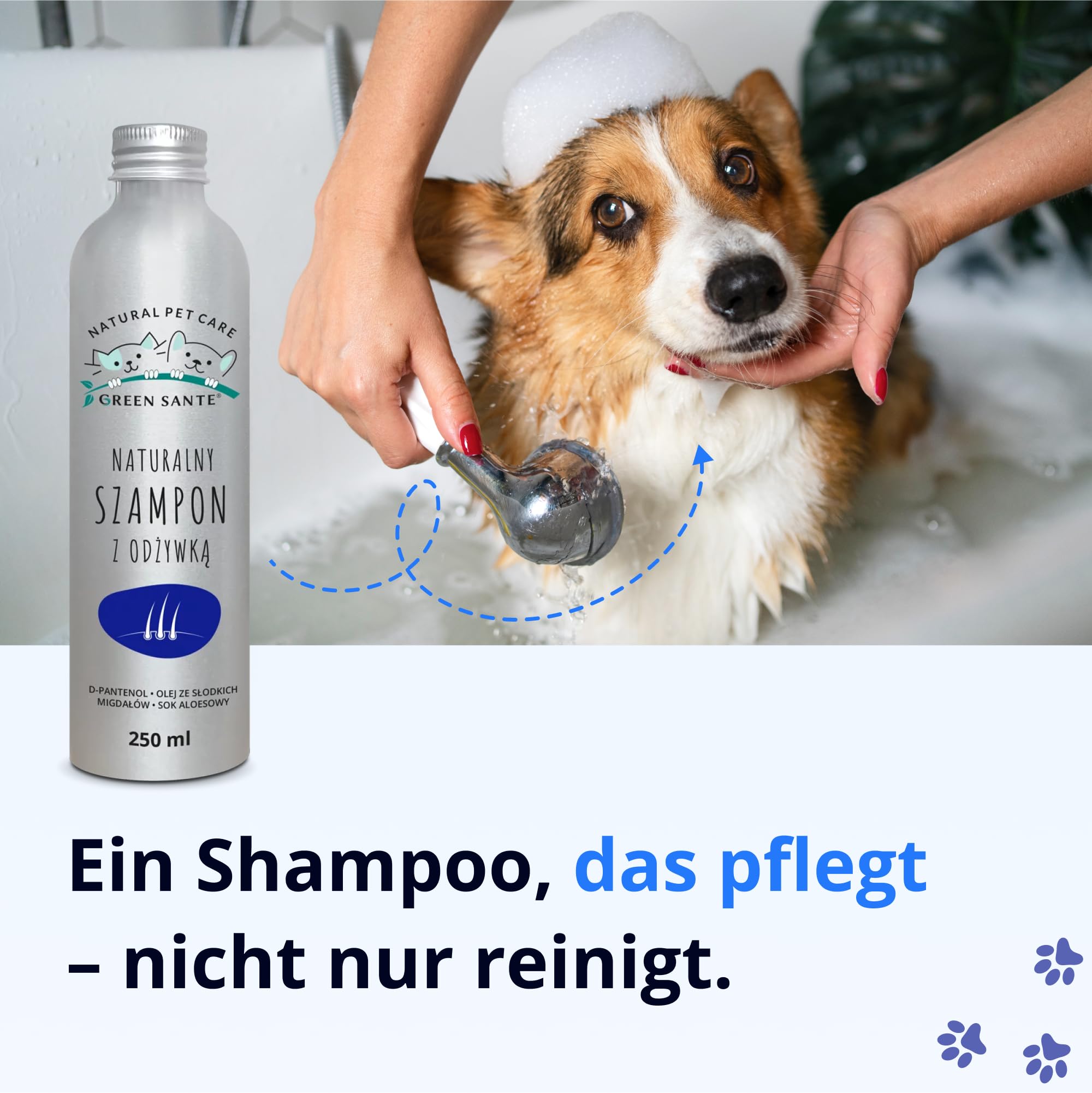 2in1 Hundeshampoo & Conditioner – Natürlich & pH-neutral – Für glänzendes Fell, leichte Kämmbarkeit & sanfte Pflege – Mit Aloe Vera, Mandelöl & Provitamin B5 – 250 ml