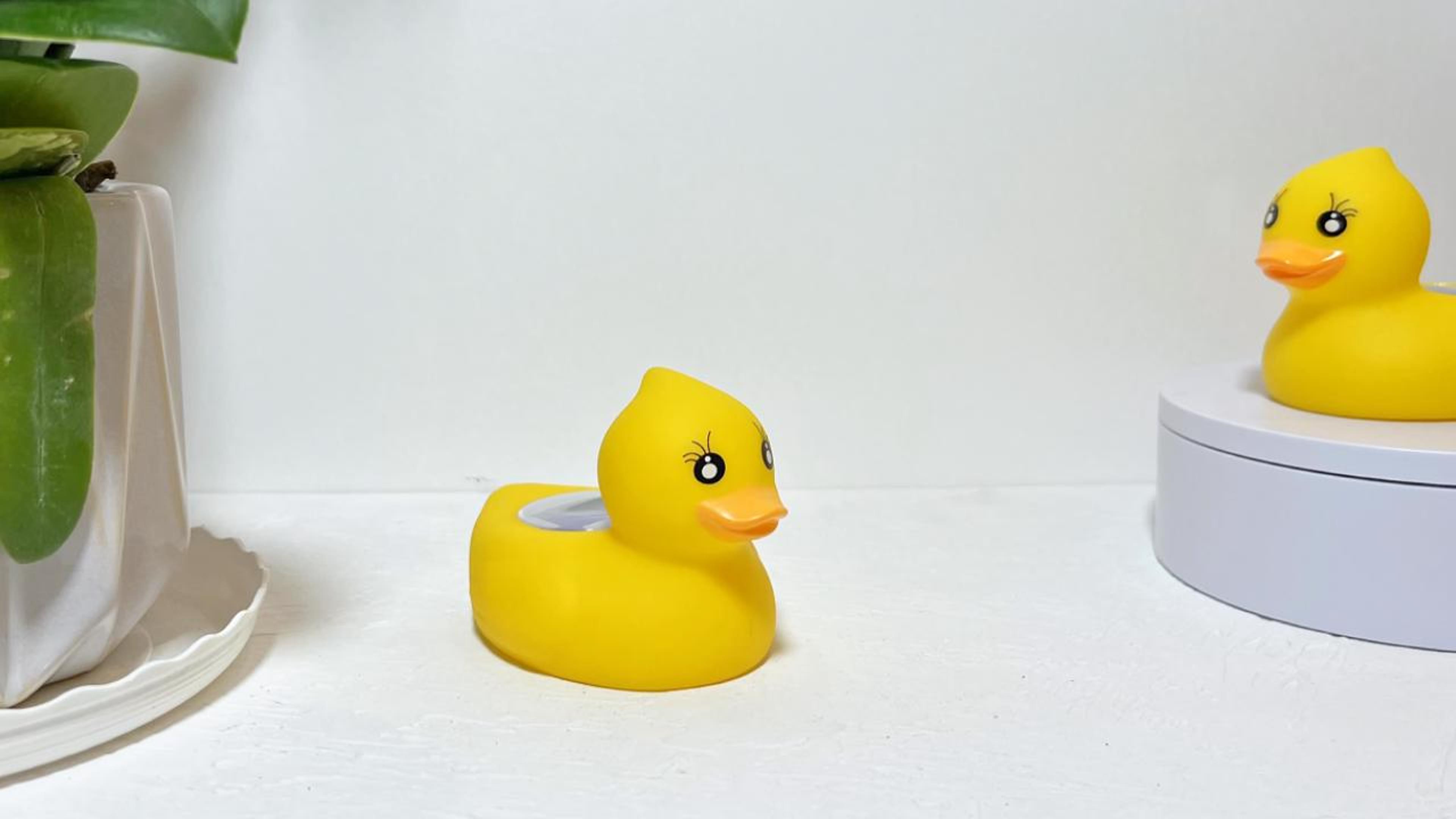 Baby Badethermometer Bär - Schwimm Spielzeug Mit Temperatur Anzeige