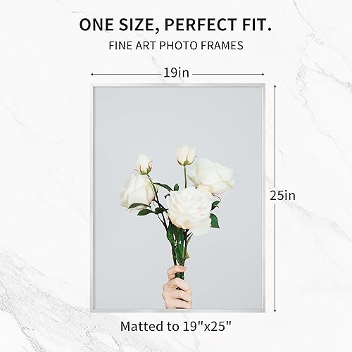 Miniatura 401 de Fun Memories Portarretratos de metal de 16 x 20 pulgadas con paspartú de 11 x 14 pulgadas, acabado de aluminio cepillado, parte delantera de vidrio