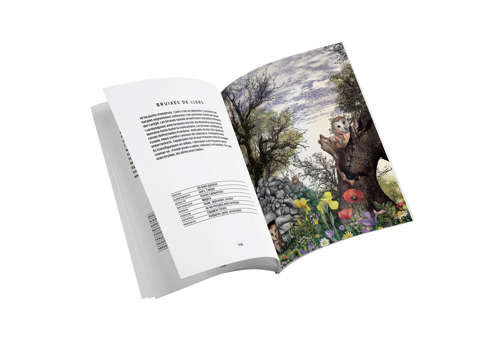 Guia de les criatures fantàstiques catalanes (Catalunya fantàstica)