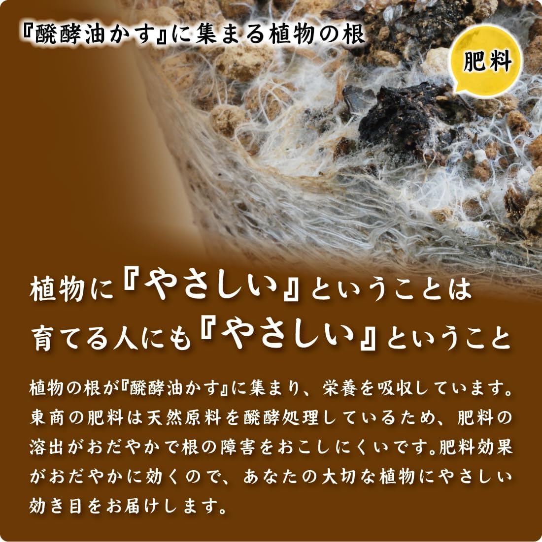 醗酵 Grease Particles
