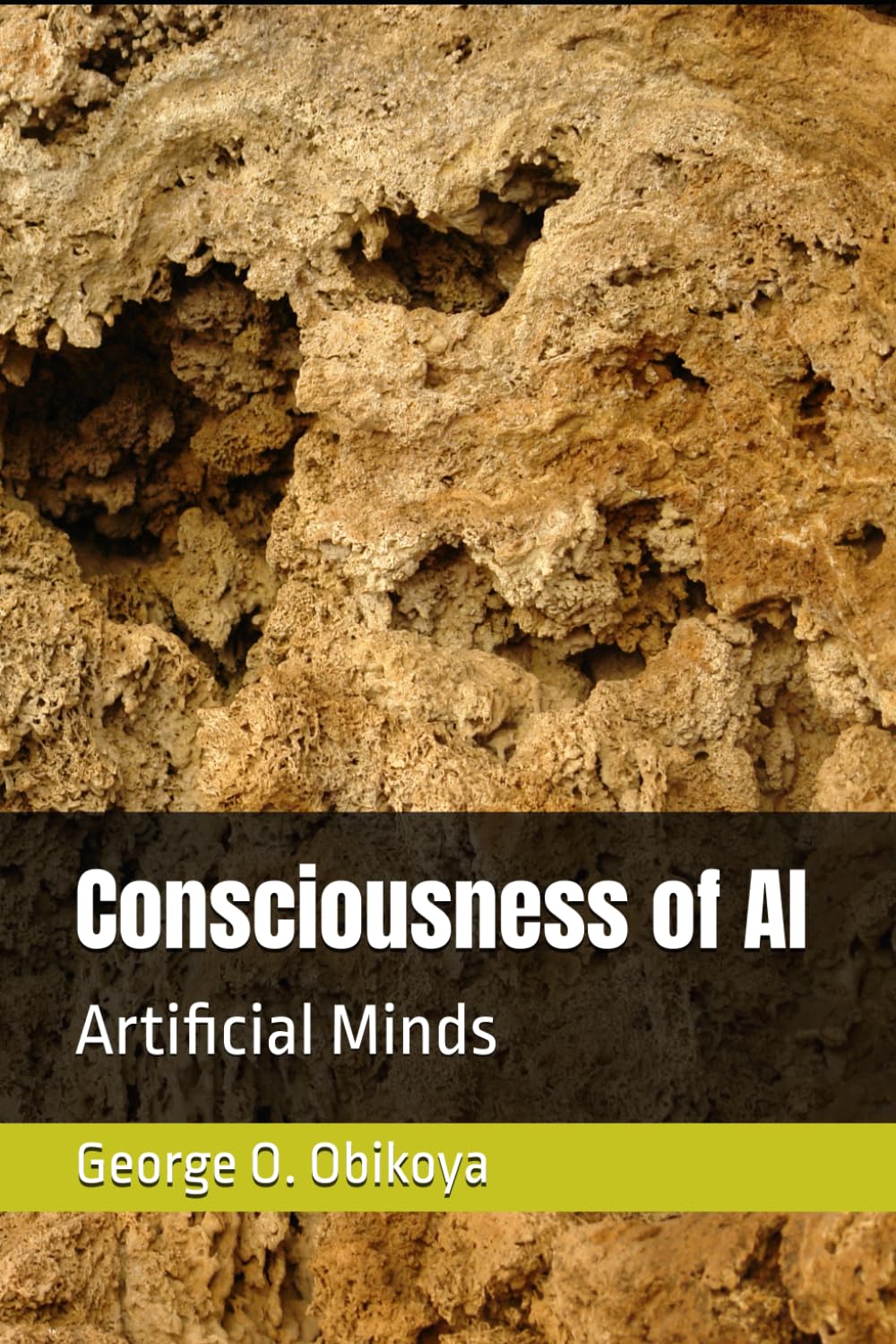 Consciousness of AI: Artificial Minds