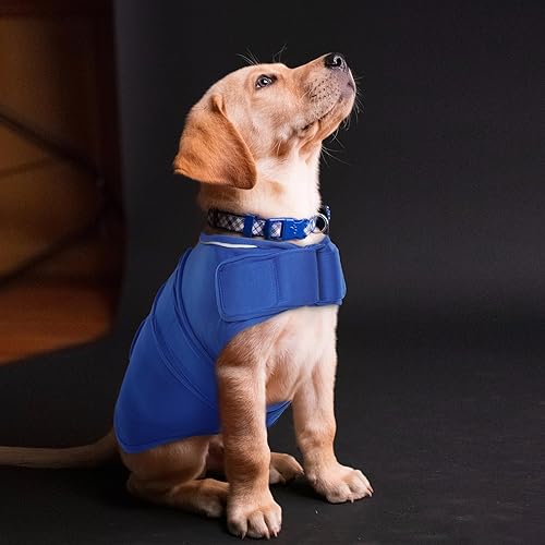 Miniatura 8 de ROZKITCH Chaleco de ansiedad para perro, chaqueta cómoda para ansiedad para perros con fuegos artificiales, viajes, visitas al veterinario, camisa