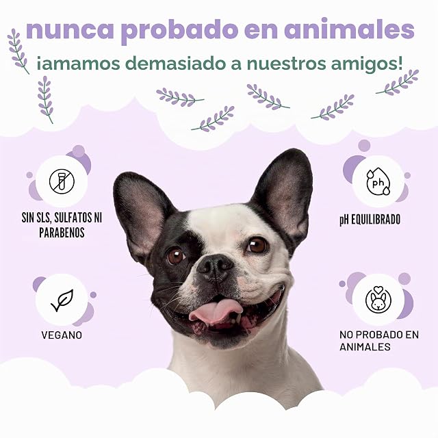 Foto 5 de 8 de Buddycare Bálsamo para patas y nariz de perro, la lavanda protege y repara la piel seca, agrietada y agrietada