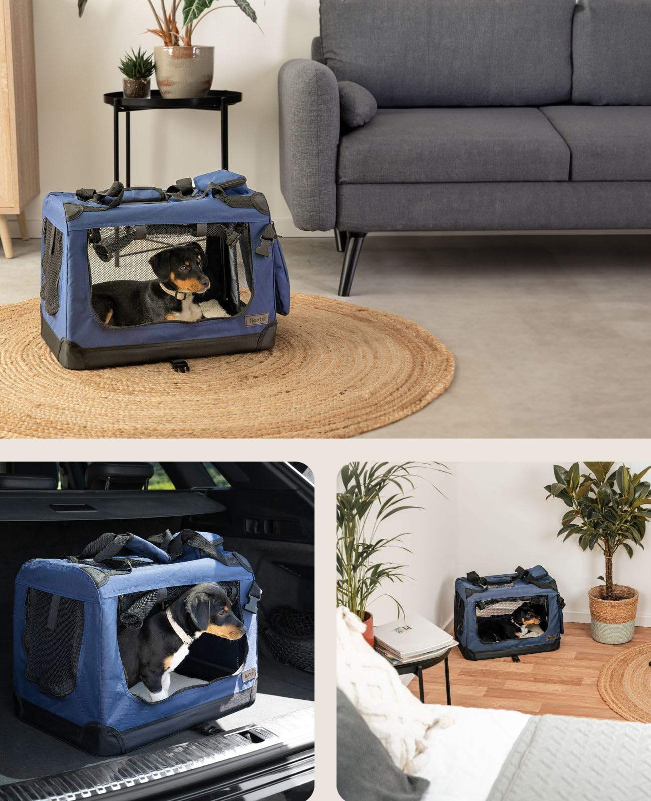 lionto Borsa trasportino per cani pieghevole per viaggi e auto, 50x34x36 cm, box di trasporto stabile con maniglie per gatti e animali fino a 10 kg, scatola in tessuto, blu scuro