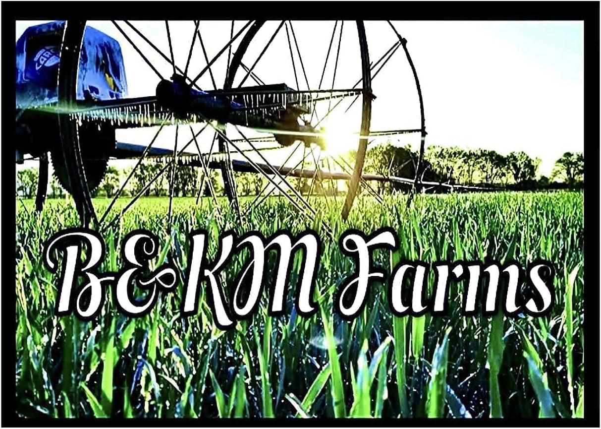 Set of 20 Vegetable & Melon Seeds Perfect for Your Home Garden 20 Varieties-All Seeds are Heirloom, 100% Non-GMO, Non-Hybrid! USA Grown. by B&KM Farms. 20 Different Varieties. : Patio, Lawn & Garden