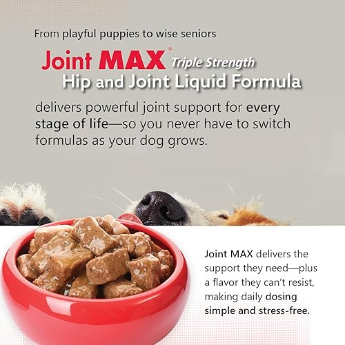 Vista 21 de PHS Joint Max Triple Strength (TS) Masticables suaves para perros, glucosamina, condroitina, MSM, cúrcuma, Omega 3, alivio del dolor de cadera