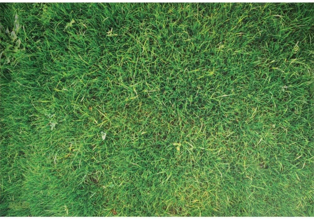 Kaplan Early Learning STEM Play Grass Mat RealImage Play Mat with Easy to Clean