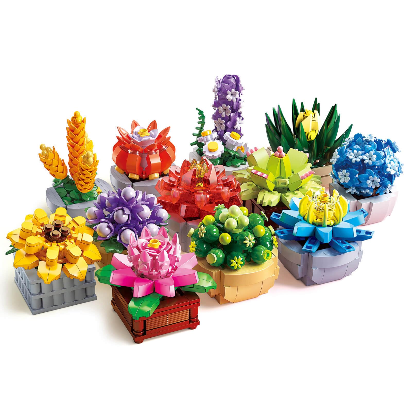 Amazon.com: Succulents Set for Adults Building Sets, 12 Plants